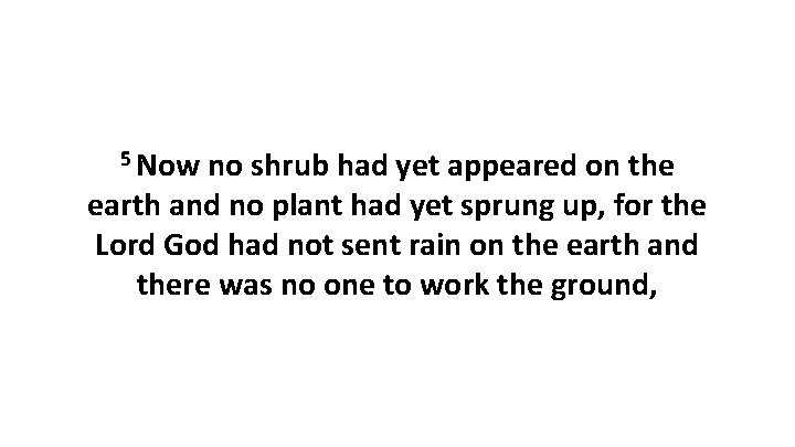 5 Now no shrub had yet appeared on the earth and no plant had