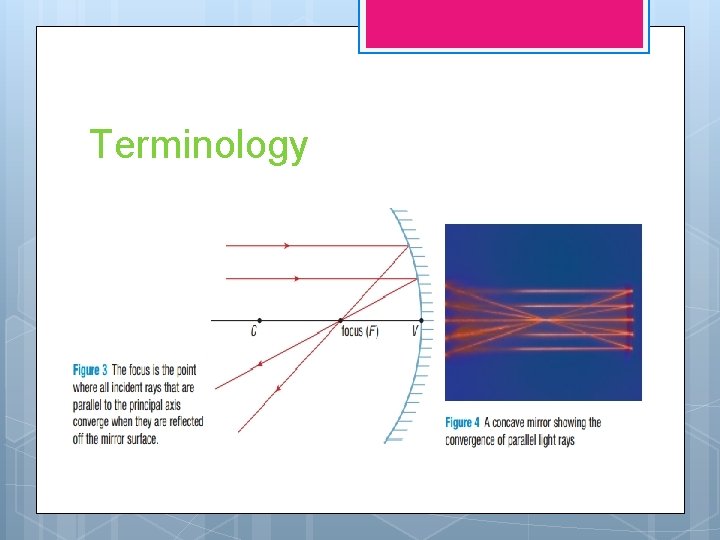 Terminology 