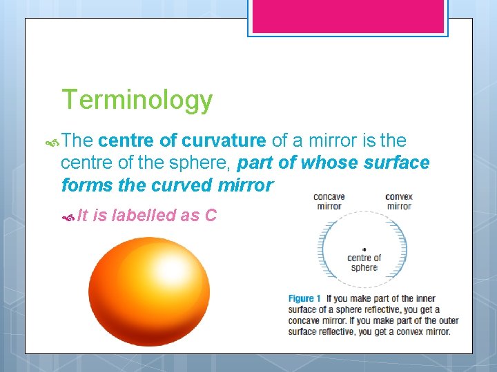 Terminology The centre of curvature of a mirror is the centre of the sphere,