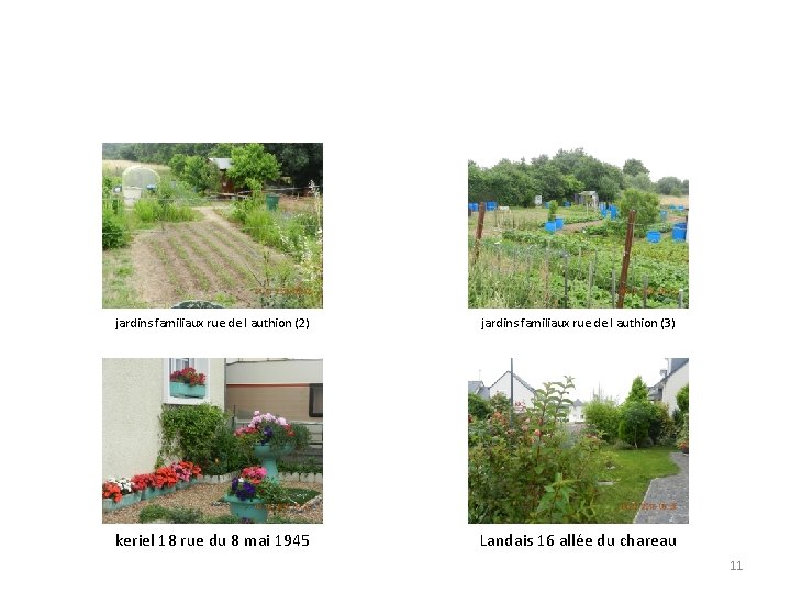 jardins familiaux rue de l authion (2) jardins familiaux rue de l authion (3)