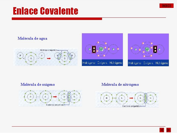 ÍNDICE Enlace Covalente Molécula de agua Molécula de oxígeno Molécula de nitrógeno 