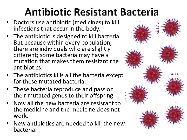 Antibiotic Resistant Bacteria • Doctors use antibiotic (medicines) to kill infections that occur in