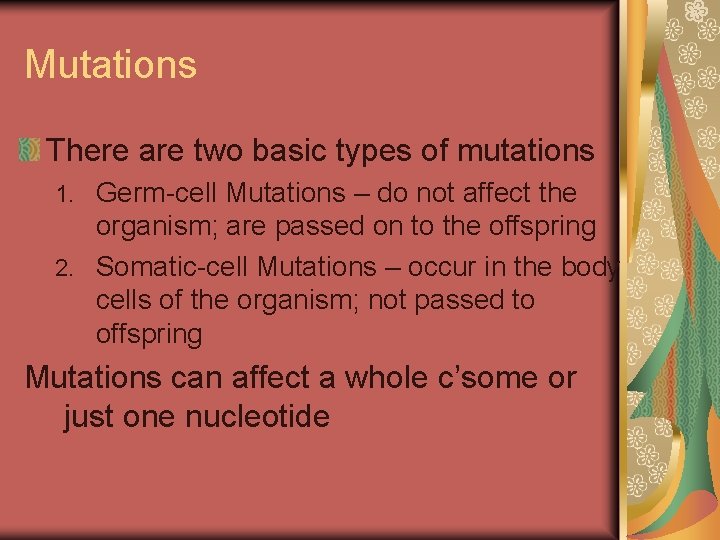 Mutations There are two basic types of mutations Germ-cell Mutations – do not affect