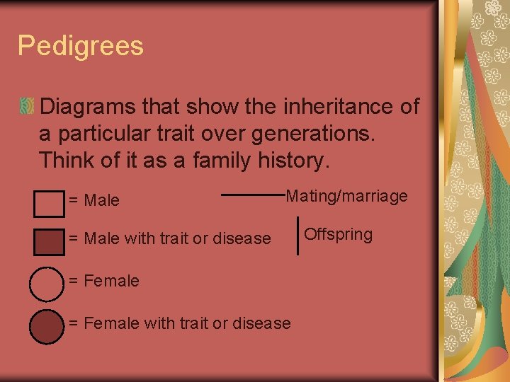 Pedigrees Diagrams that show the inheritance of a particular trait over generations. Think of