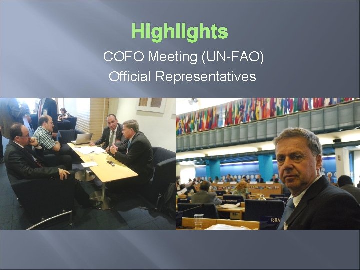 Highlights COFO Meeting (UN-FAO) Official Representatives 