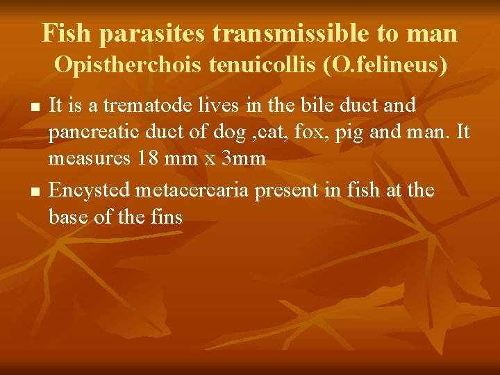 Fish parasites transmissible to man Opistherchois tenuicollis (O. felineus) n n It is a