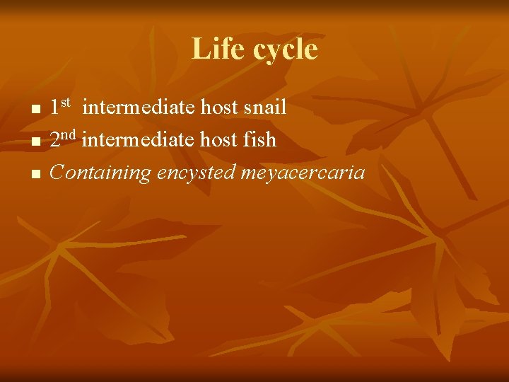 Life cycle n n n 1 st intermediate host snail 2 nd intermediate host
