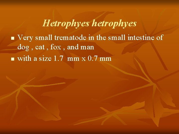 Hetrophyes hetrophyes n n Very small trematode in the small intestine of dog ,