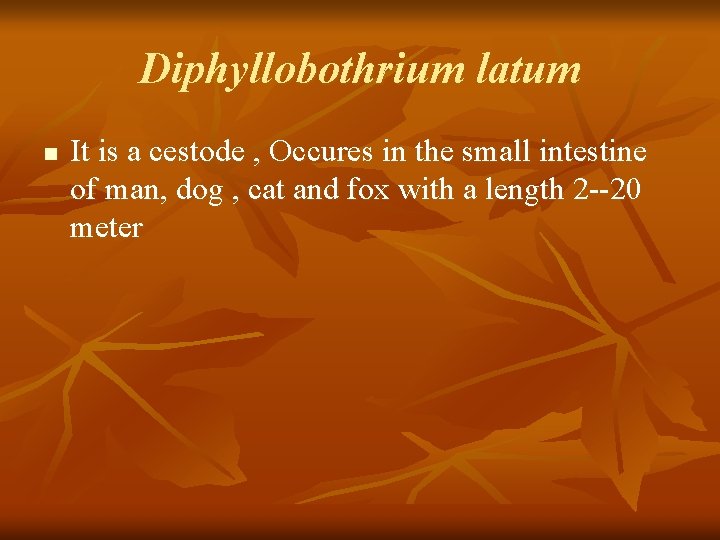 Diphyllobothrium latum n It is a cestode , Occures in the small intestine of
