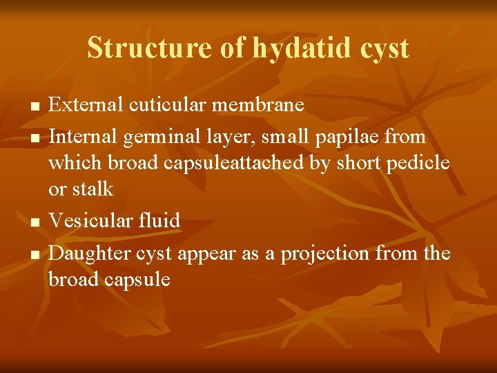 Structure of hydatid cyst n n External cuticular membrane Internal germinal layer, small papilae