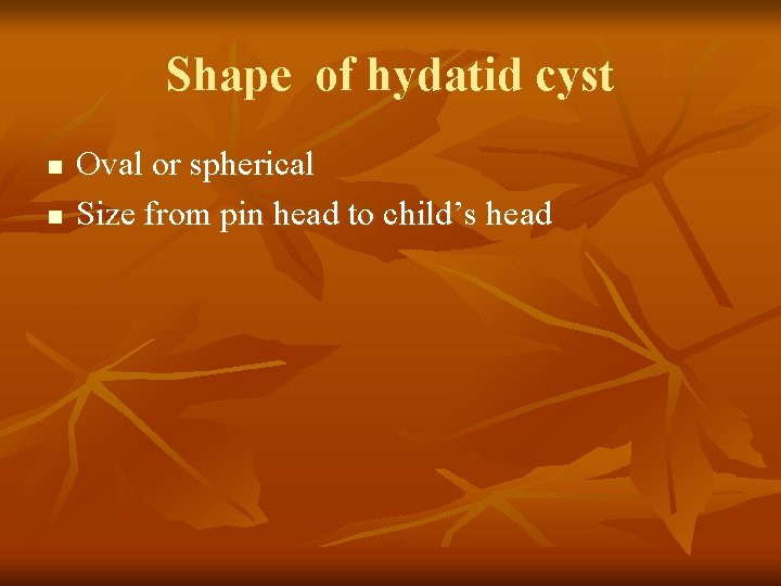 Shape of hydatid cyst n n Oval or spherical Size from pin head to