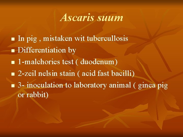 Ascaris suum n n n In pig , mistaken wit tubercullosis Differentiation by 1