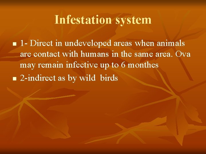 Infestation system n n 1 - Direct in undeveloped areas when animals are contact