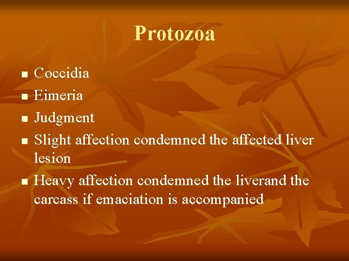 Protozoa n n n Coccidia Eimeria Judgment Slight affection condemned the affected liver lesion