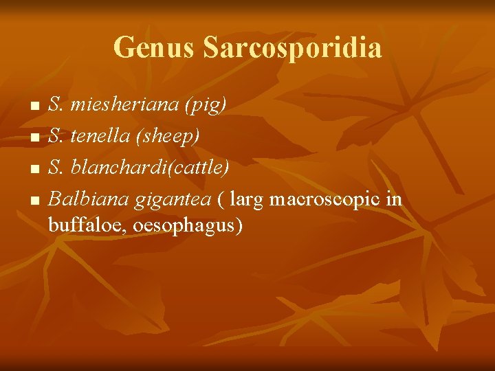 Genus Sarcosporidia n n S. miesheriana (pig) S. tenella (sheep) S. blanchardi(cattle) Balbiana gigantea