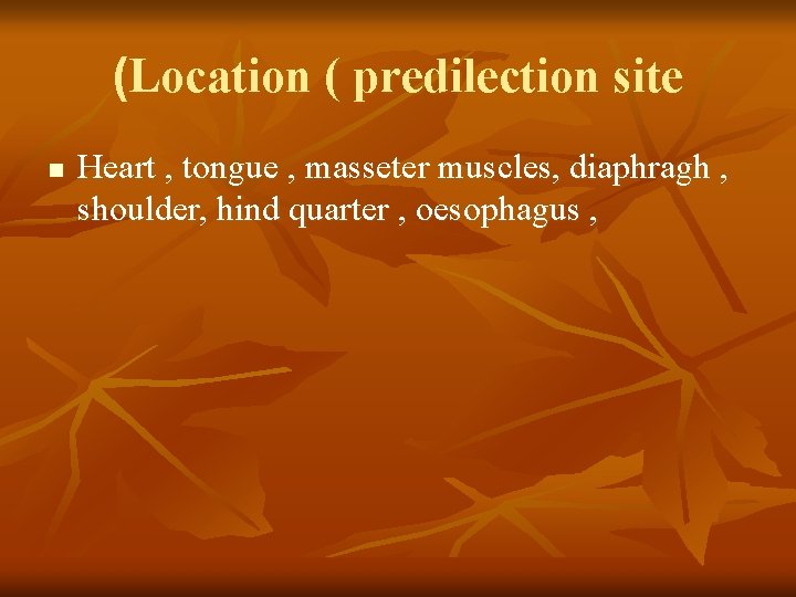 (Location ( predilection site n Heart , tongue , masseter muscles, diaphragh , shoulder,
