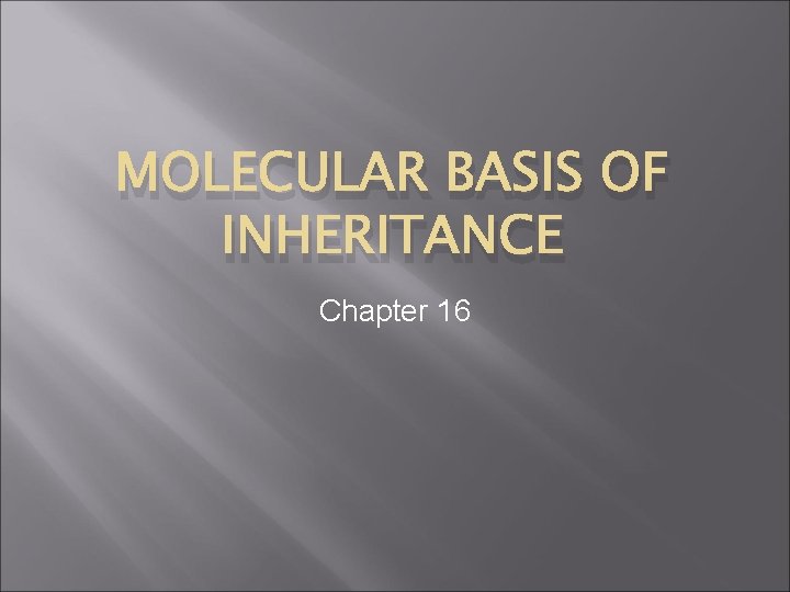 MOLECULAR BASIS OF INHERITANCE Chapter 16 