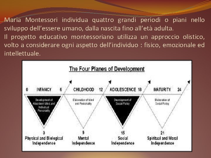 Maria Montessori individua quattro grandi periodi o piani nello sviluppo dell’essere umano, dalla nascita
