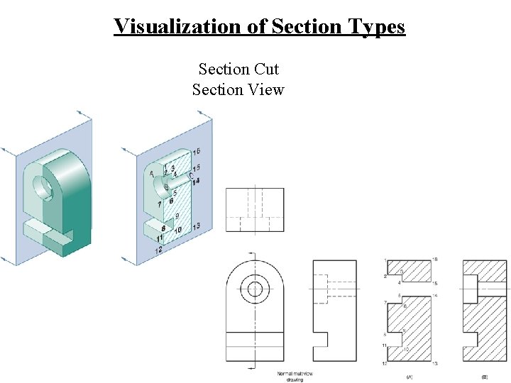 Visualization of Section Types Section Cut Section View 