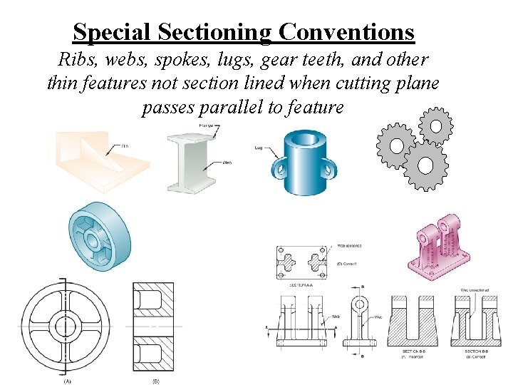 Special Sectioning Conventions Ribs, webs, spokes, lugs, gear teeth, and other thin features not