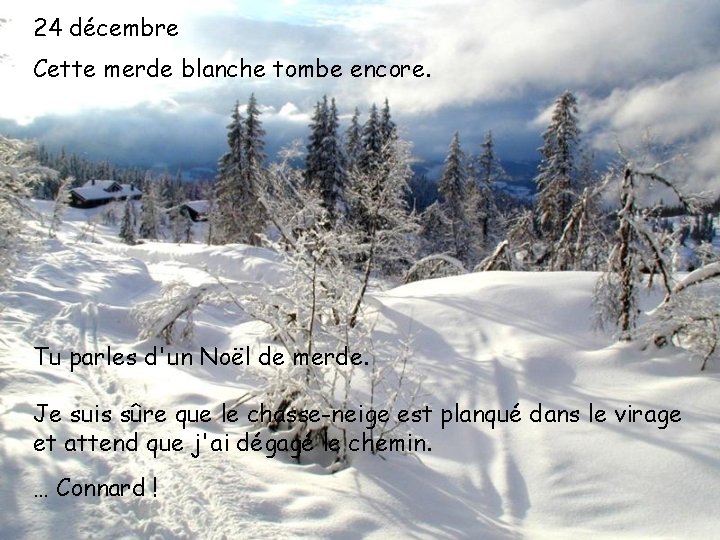 24 décembre Cette merde blanche tombe encore. Tu parles d'un Noël de merde. Je