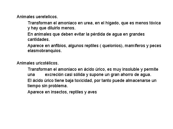 Animales ueretelicos. Transforman el amoniaco en urea, en el hígado, que es menos tóxica