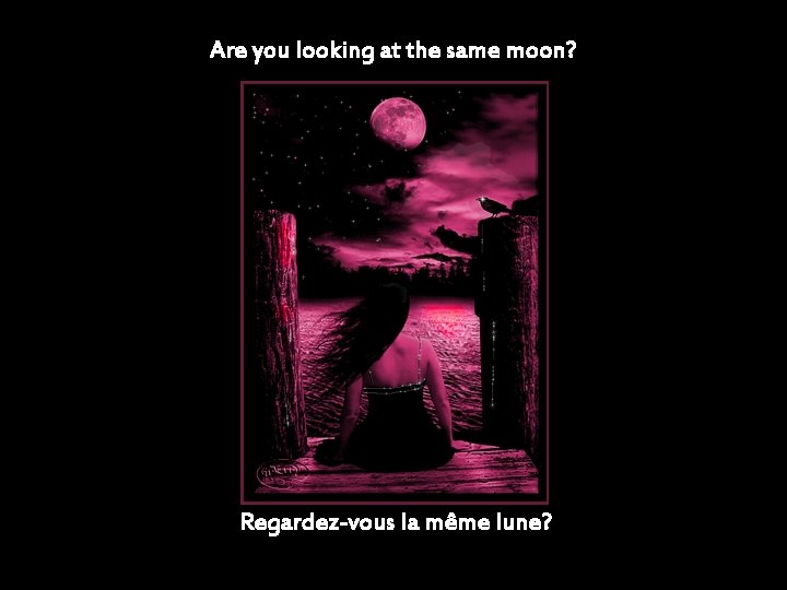 Are you looking at the same moon? Regardez-vous la même lune? 