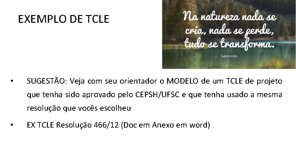 EXEMPLO DE TCLE • SUGESTÃO: Veja com seu orientador o MODELO de um TCLE