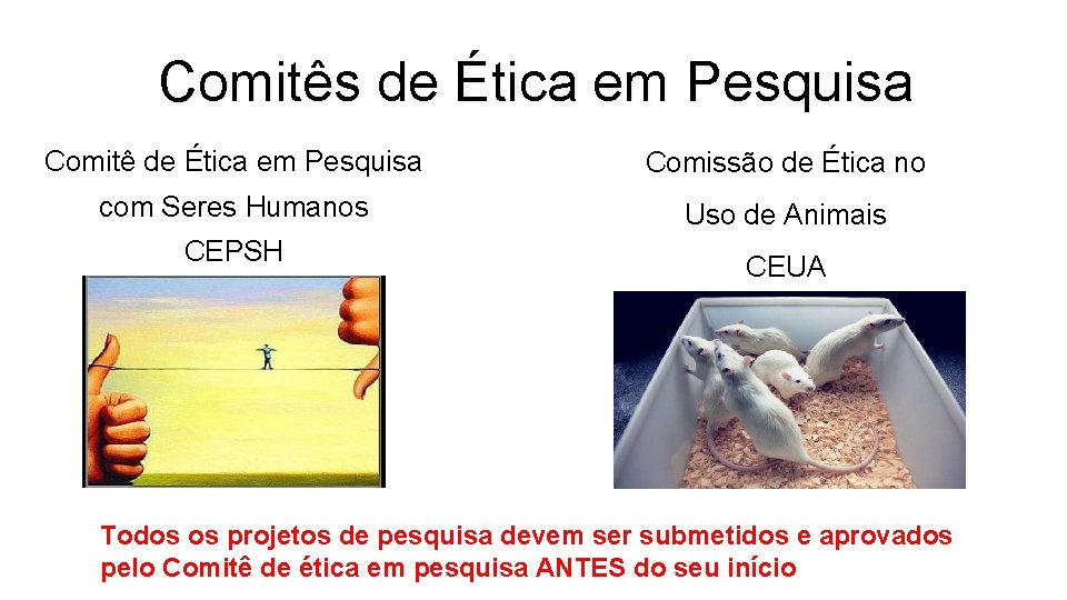 Comitês de Ética em Pesquisa Comitê de Ética em Pesquisa Comissão de Ética no