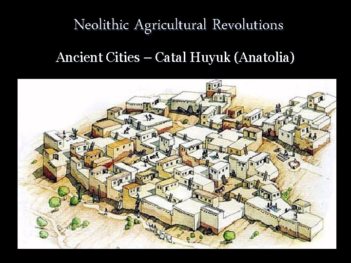 Neolithic Agricultural Revolutions Ancient Cities – Catal Huyuk (Anatolia) 