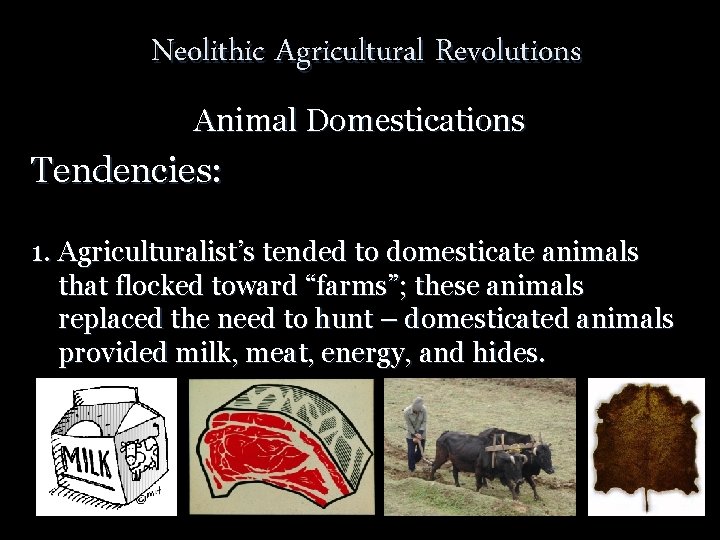 Neolithic Agricultural Revolutions Animal Domestications Tendencies: 1. Agriculturalist’s tended to domesticate animals that flocked