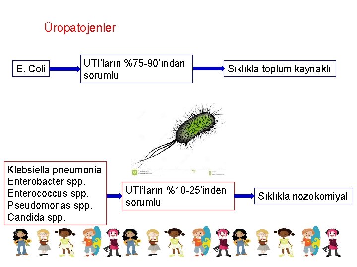 Üropatojenler E. Coli UTI’ların %75 -90’ından sorumlu Klebsiella pneumonia Enterobacter spp. Enterococcus spp. Pseudomonas
