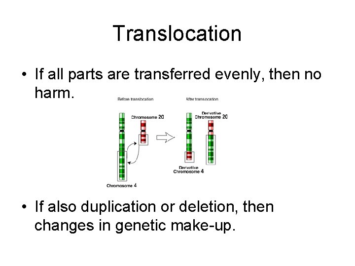 Translocation • If all parts are transferred evenly, then no harm. • If also