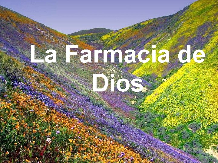 La Farmacia de Dios 