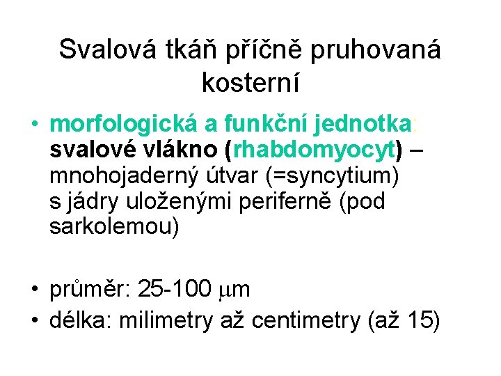 Svalová tkáň příčně pruhovaná kosterní • morfologická a funkční jednotka: svalové vlákno (rhabdomyocyt) –