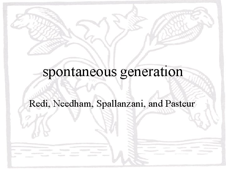spontaneous generation Redi, Needham, Spallanzani, and Pasteur 