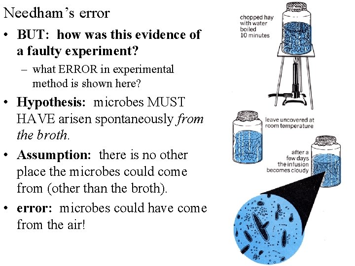Needham’s error • BUT: how was this evidence of a faulty experiment? – what