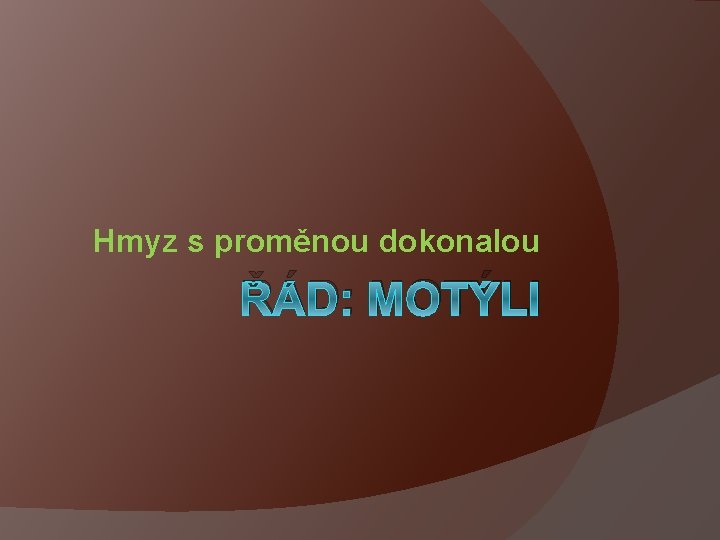 Hmyz s proměnou dokonalou ŘÁD: MOTÝLI 