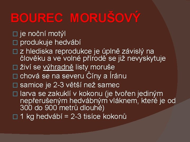 BOUREC MORUŠOVÝ je noční motýl produkuje hedvábí z hlediska reprodukce je úplně závislý na