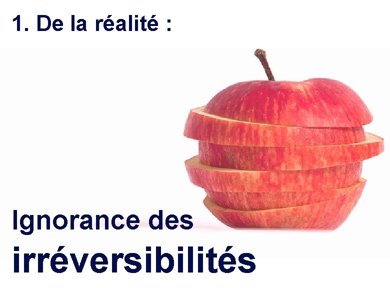 1. De la réalité : Ignorance des irréversibilités Laurent Ledoux 9 