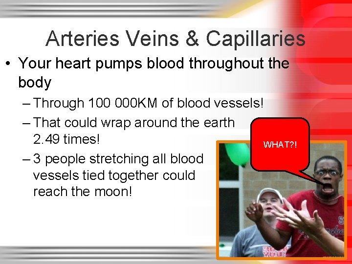 Arteries Veins & Capillaries • Your heart pumps blood throughout the body – Through Arteries Veins & Capillaries • Your heart pumps blood throughout the body – Through