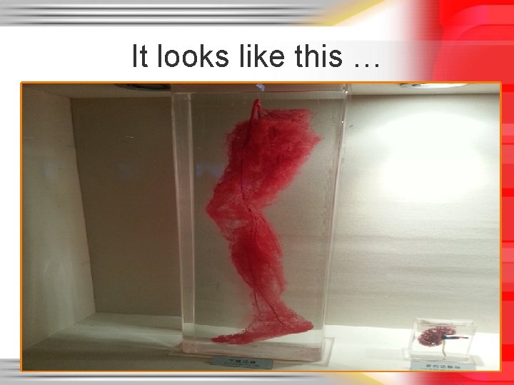 It looks like this … It looks like this …