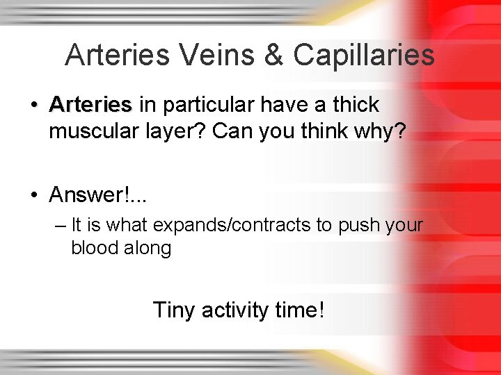 Arteries Veins & Capillaries • Arteries in particular have a thick muscular layer? Can Arteries Veins & Capillaries • Arteries in particular have a thick muscular layer? Can