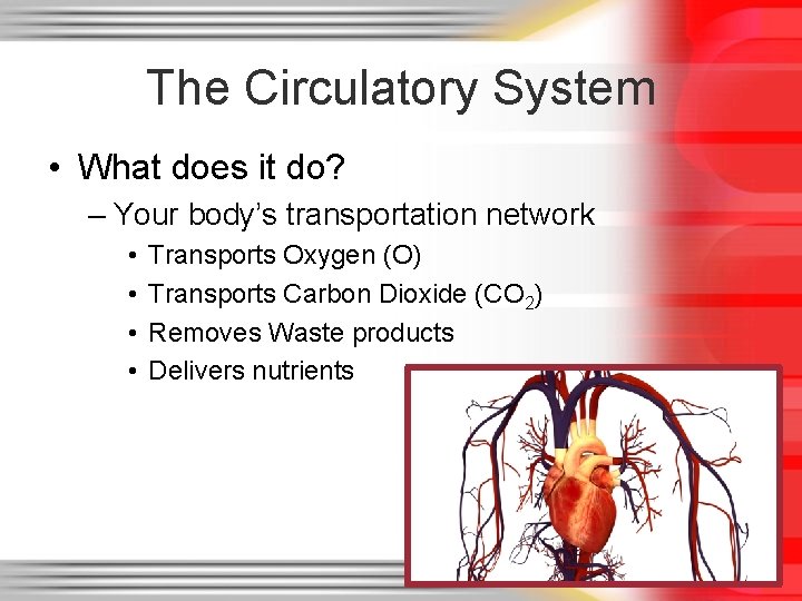 The Circulatory System • What does it do? – Your body’s transportation network • The Circulatory System • What does it do? – Your body’s transportation network •