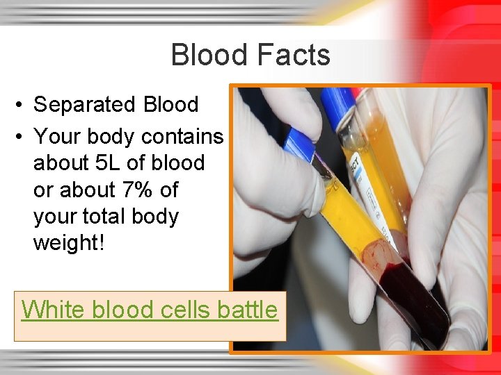 Blood Facts • Separated Blood • Your body contains about 5 L of blood Blood Facts • Separated Blood • Your body contains about 5 L of blood