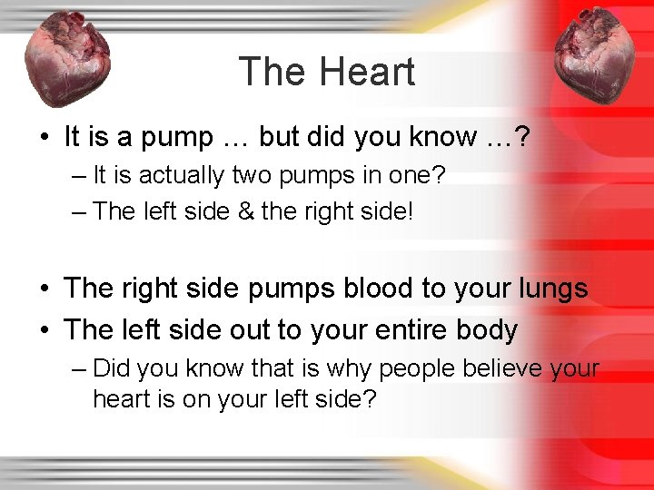 The Heart • It is a pump … but did you know …? – The Heart • It is a pump … but did you know …? –
