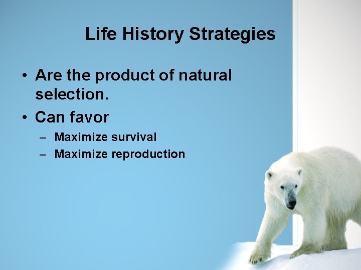 Life History Strategies • Are the product of natural selection. • Can favor –