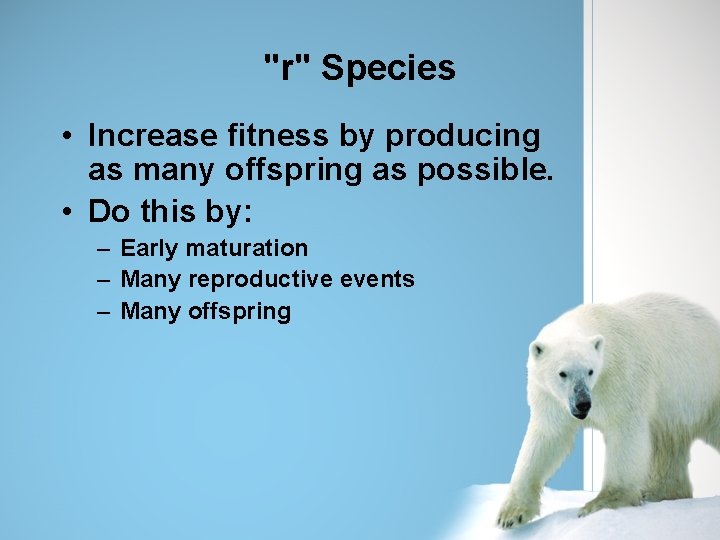 "r" Species • Increase fitness by producing as many offspring as possible. • Do