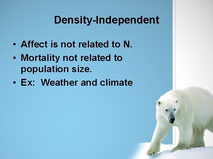 Density-Independent • Affect is not related to N. • Mortality not related to population