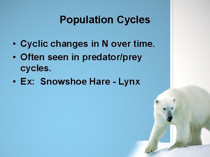 Population Cycles • Cyclic changes in N over time. • Often seen in predator/prey